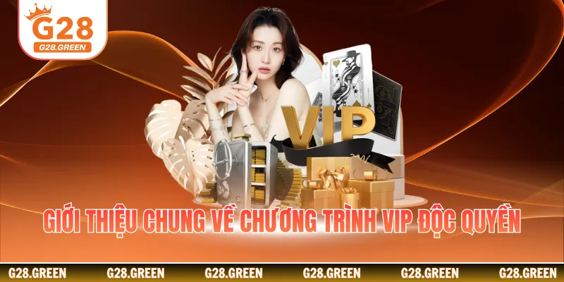 Giới thiệu chung về chương trình VIP độc quyền